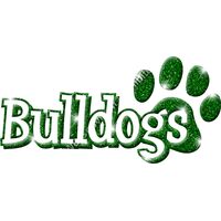 GLT17   GREEN GLITTER Thumbnail